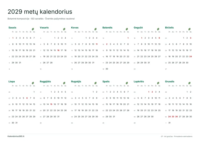 2029 Botaninė kompozicija – spausdinamas kalendorius
